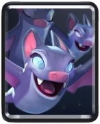 Bats